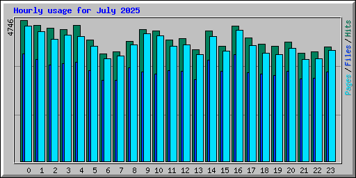 Hourly usage for July 2025