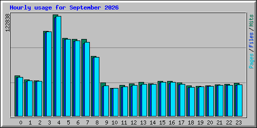 Hourly usage for September 2026
